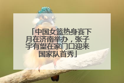 中国女篮热身赛下月在济南举办，张子宇有望在家门口迎来国家队首秀