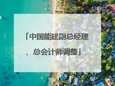 中国能建副总经理、总会计师调整