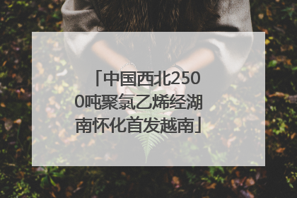 中国西北2500吨聚氯乙烯经湖南怀化首发越南