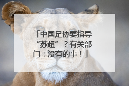 中国足协要指导“苏超”？有关部门：没有的事！
