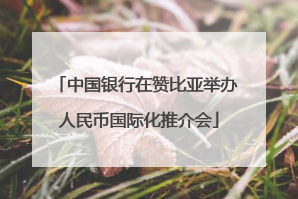 中国银行在赞比亚举办人民币国际化推介会