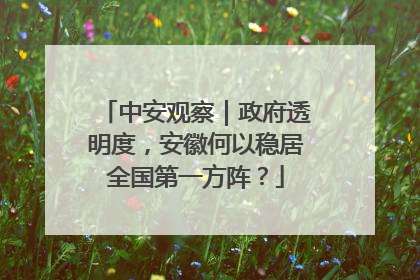 中安观察｜政府透明度，安徽何以稳居全国第一方阵？