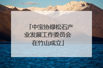 中宝协绿松石产业发展工作委员会在竹山成立