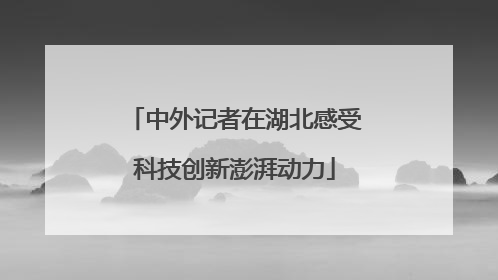 中外记者在湖北感受科技创新澎湃动力