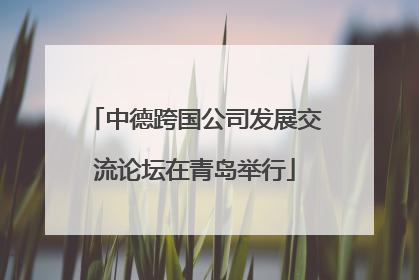 中德跨国公司发展交流论坛在青岛举行
