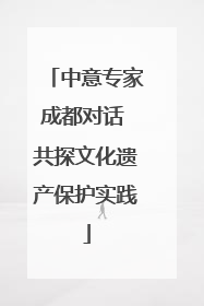 中意专家成都对话 共探文化遗产保护实践