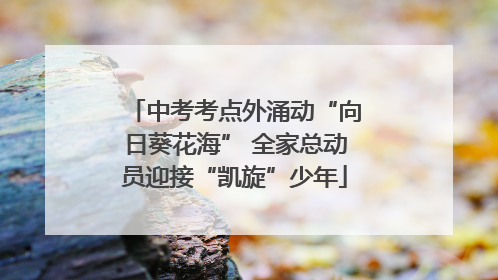 中考考点外涌动“向日葵花海” 全家总动员迎接“凯旋”少年