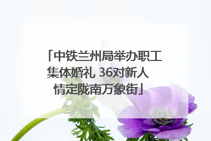 中铁兰州局举办职工集体婚礼 36对新人情定陇南万象街