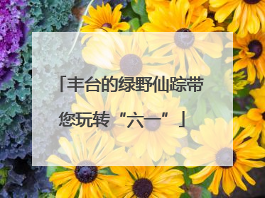 丰台的绿野仙踪带您玩转“六一”