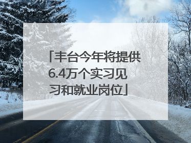 丰台今年将提供6.4万个实习见习和就业岗位