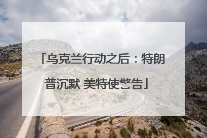 乌克兰行动之后：特朗普沉默 美特使警告