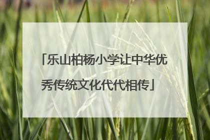 乐山柏杨小学让中华优秀传统文化代代相传