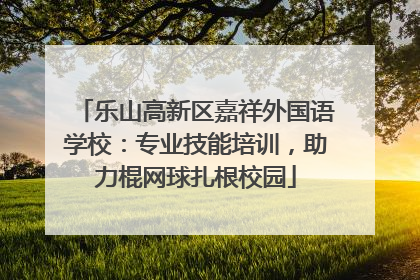 乐山高新区嘉祥外国语学校：专业技能培训，助力棍网球扎根校园