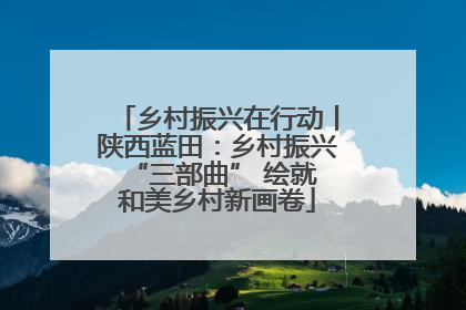 乡村振兴在行动丨陕西蓝田：乡村振兴 “三部曲” 绘就和美乡村新画卷