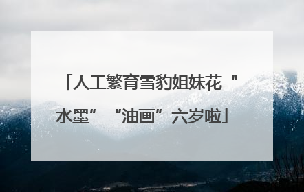 人工繁育雪豹姐妹花“水墨”“油画”六岁啦