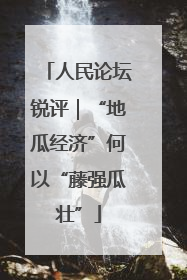 人民论坛锐评｜“地瓜经济”何以“藤强瓜壮”