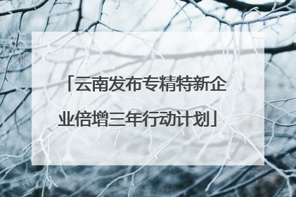 云南发布专精特新企业倍增三年行动计划