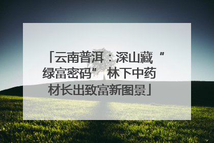 云南普洱：深山藏“绿富密码” 林下中药材长出致富新图景