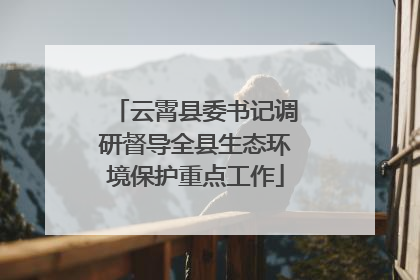 云霄县委书记调研督导全县生态环境保护重点工作