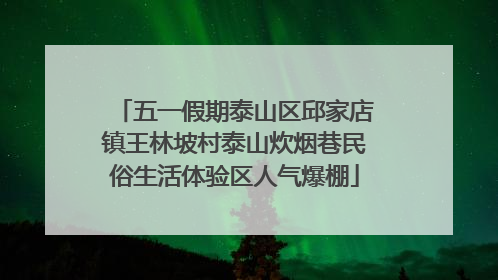 五一假期泰山区邱家店镇王林坡村泰山炊烟巷民俗生活体验区人气爆棚