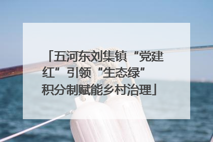 五河东刘集镇“党建红”引领“生态绿” 积分制赋能乡村治理