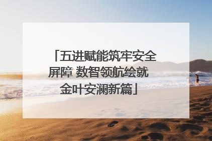 五进赋能筑牢安全屏障 数智领航绘就金叶安澜新篇