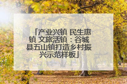 产业兴镇 民生惠镇 文旅活镇：谷城县五山镇打造乡村振兴示范样板