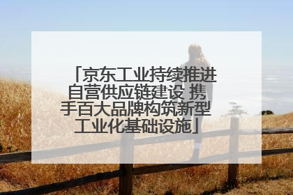 京东工业持续推进自营供应链建设 携手百大品牌构筑新型工业化基础设施