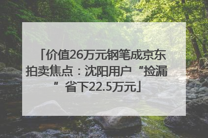 价值26万元钢笔成京东拍卖焦点：沈阳用户“捡漏”省下22.5万元