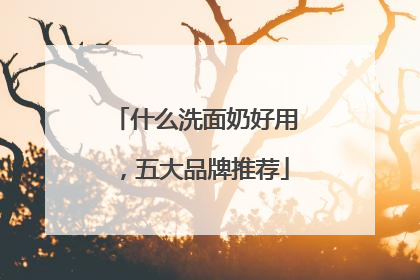 什么洗面奶好用，五大品牌推荐