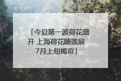 今夏第一波荷花盛开 上海荷花睡莲展7月上旬揭幕