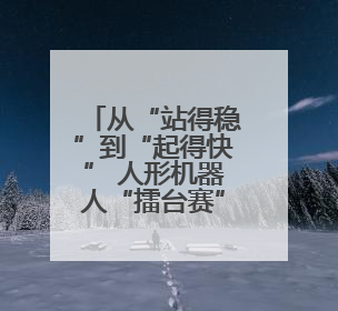 从“站得稳”到“起得快” 人形机器人“擂台赛”开打
