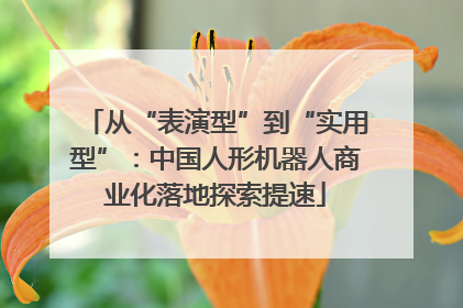 从“表演型”到“实用型”：中国人形机器人商业化落地探索提速