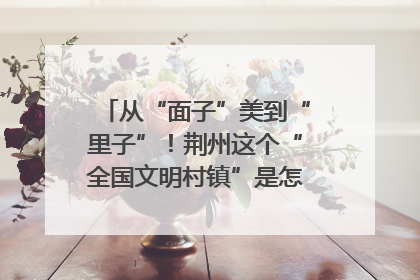从“面子”美到“里子”！荆州这个“全国文明村镇”是怎样炼成的？