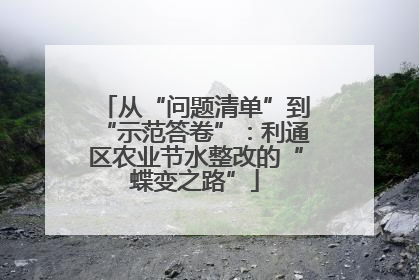 从“问题清单”到“示范答卷”：利通区农业节水整改的“蝶变之路”