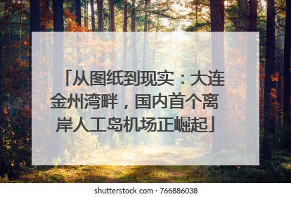 从图纸到现实：大连金州湾畔，国内首个离岸人工岛机场正崛起