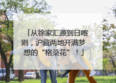 从徐家汇源到日喀则，沪藏两地开满梦想的“格桑花”！