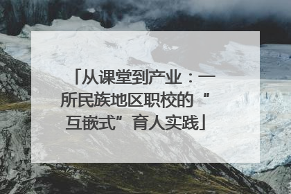 从课堂到产业：一所民族地区职校的“互嵌式”育人实践