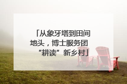 从象牙塔到田间地头，博士服务团“耕读”新乡村