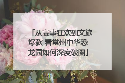 从赛事狂欢到文旅爆款 看常州中华恐龙园如何深度破圈