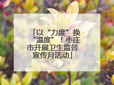 以“力度”换“温度”！枣庄市开展卫生监督宣传月活动