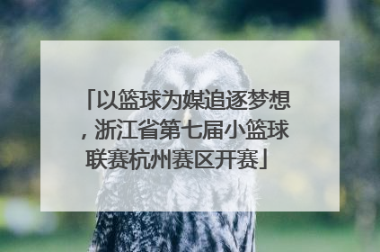 以篮球为媒追逐梦想，浙江省第七届小篮球联赛杭州赛区开赛