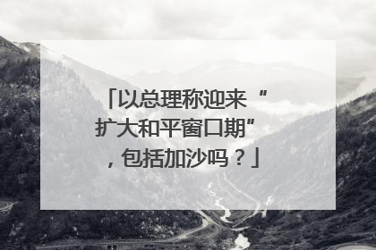 以总理称迎来“扩大和平窗口期”，包括加沙吗？