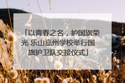 以青春之名，护国旗荣光 乐山嘉州学校举行国旗护卫队交接仪式