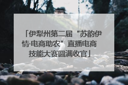 伊犁州第二届“苏韵伊情·电商助农”直播电商技能大赛圆满收官