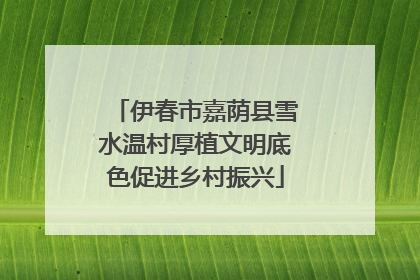 伊春市嘉荫县雪水温村厚植文明底色促进乡村振兴