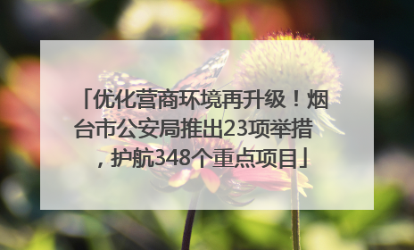 优化营商环境再升级！烟台市公安局推出23项举措，护航348个重点项目