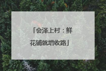 会泽上村：鲜花铺就增收路