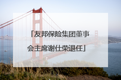 友邦保险集团董事会主席谢仕荣退任