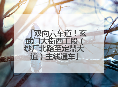 双向六车道！玄武门大街西工段（纱厂北路至定鼎大道）主线通车